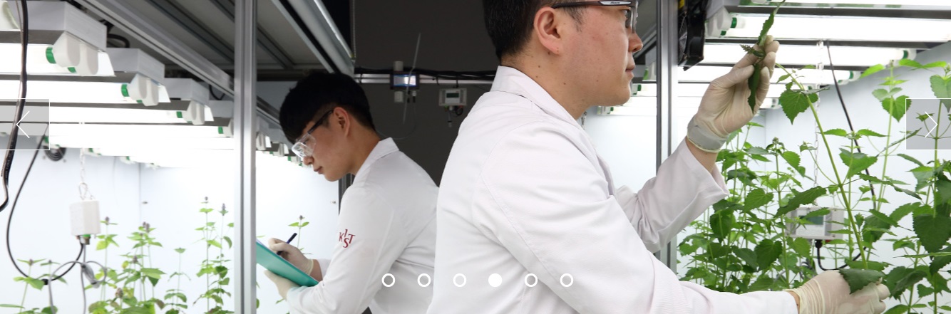 Viện sản phẩm tự nhiên KIST Gangneung